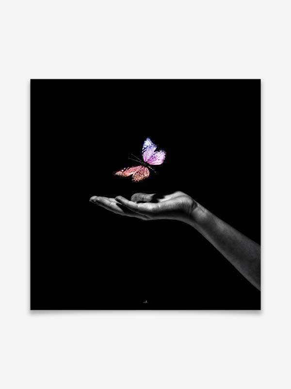 Butterfly - Poster by ARTSHOT - Photographic Art