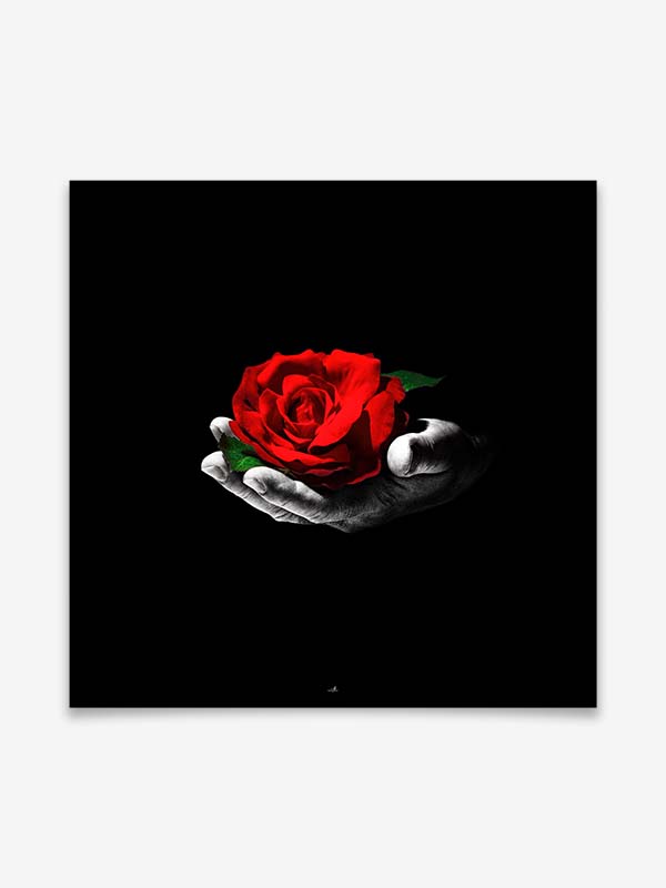 Rose - Poster by ARTSHOT - Photographic Art