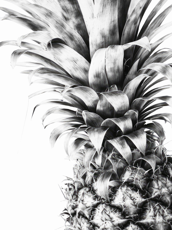 Ananas - Produktbild Zoom by Artboxx