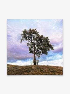 Bank unter einem Baum - Poster by ARTSHOT - Photographic Art