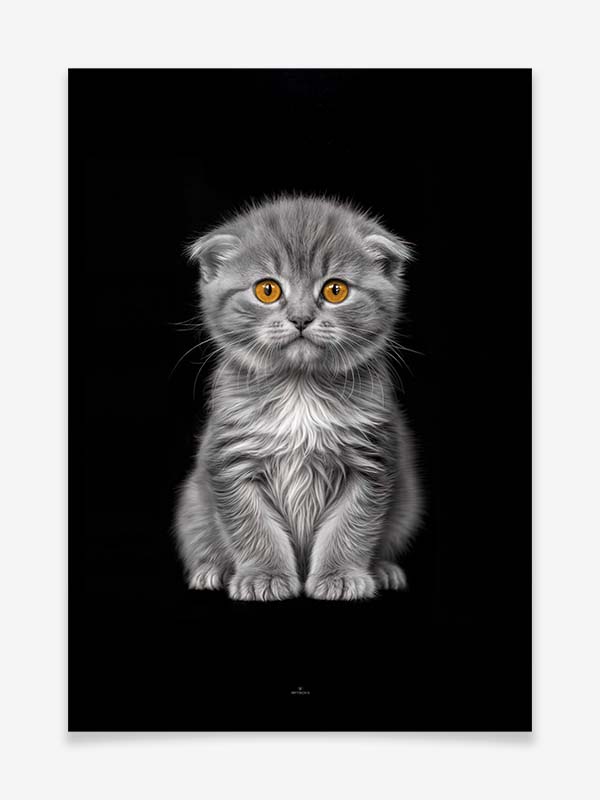 Katze - Poster by Greyscale