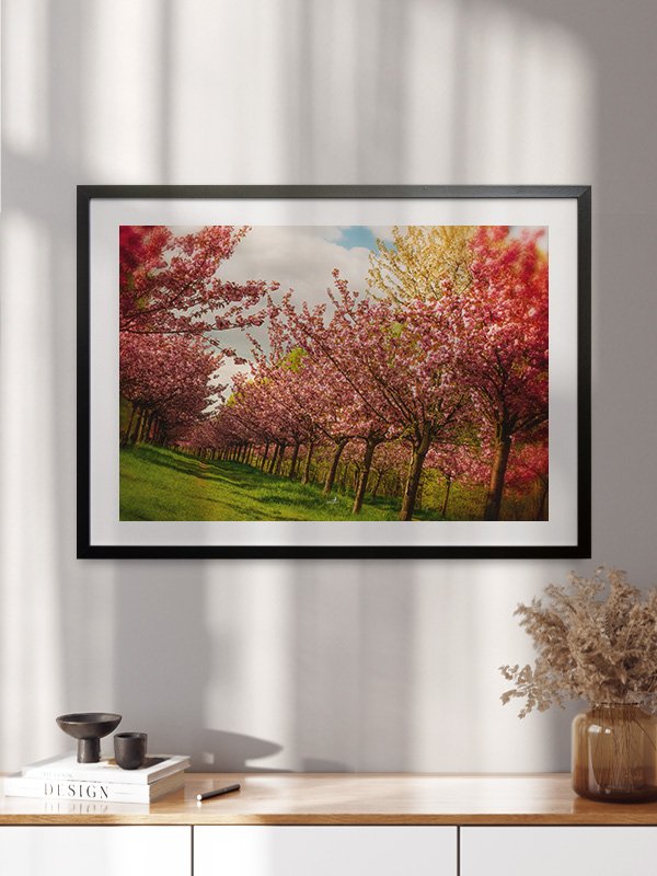 Mauerstreifen – Kirschblüten – Produktbild 3 by ARTSHOT - Photographic Art