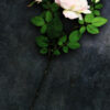 Rosen Produktbild Zoom by ARTSHOT - Photographic Art
