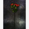 Rote Rosen - Produktbild - Poster by ARTSHOT - Photographic Art